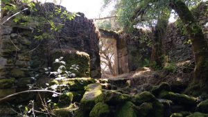 Molino de Agua de Abajo - Villaseco de los Gamitos - Salamanca