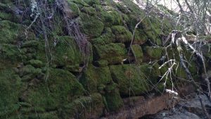 Molino de Agua de Abajo - Villaseco de los Gamitos - Salamanca