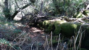 Molino de Agua de Abajo - Villaseco de los Gamitos - Salamanca